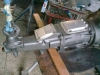 bild0307
