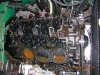 dscn2755